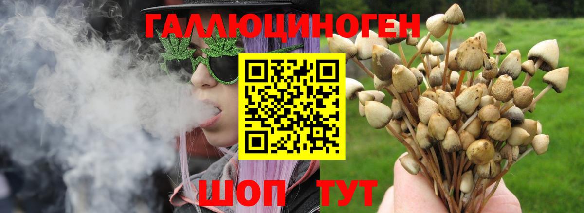 Галлюциногенные грибы мухоморы  Вход с VPN  Ростов Великий  Галлюциногенные грибы мицелий 